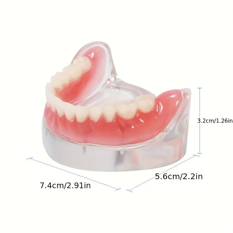 Comfortable Fit Adjustable Dentures Suit-2 Piece Set, Upper and Lower Teeth, Perfect White Veneer to Create a Professional Smile