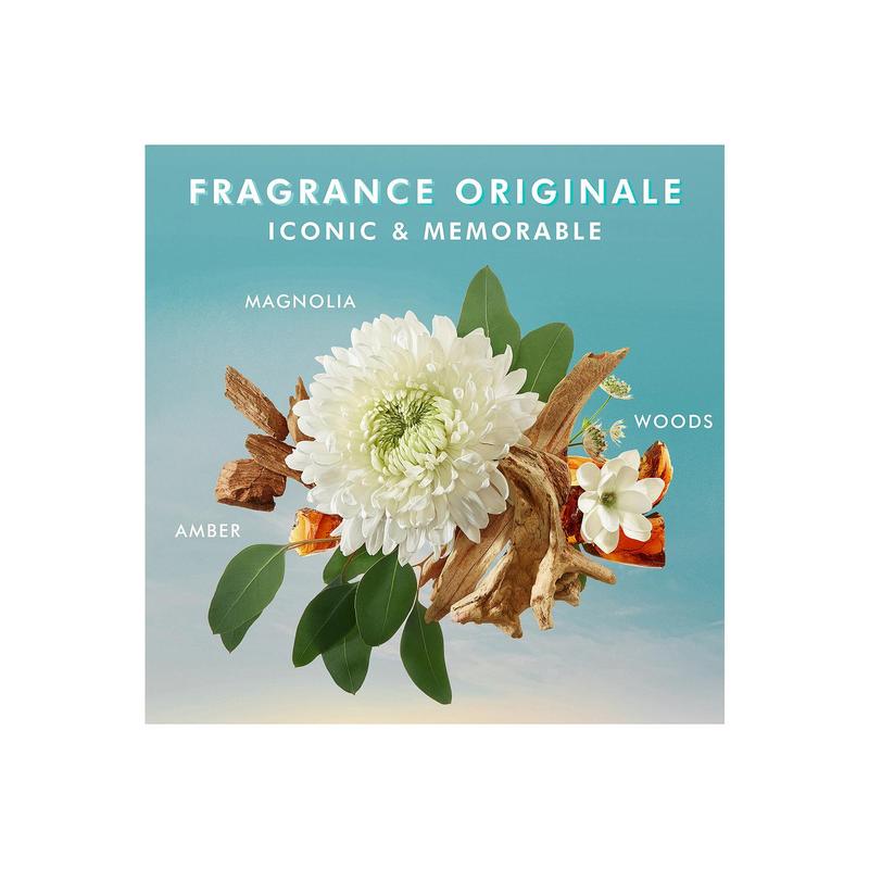 Moroccanoil Fragrance Originale Hand Cream in Fragrance Originale